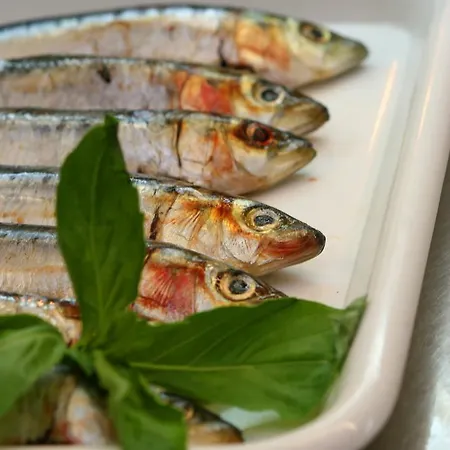 Kings Arms 4* Carlton Miniott